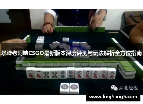 暴躁老阿姨CSGO最新版本深度评测与玩法解析全方位指南